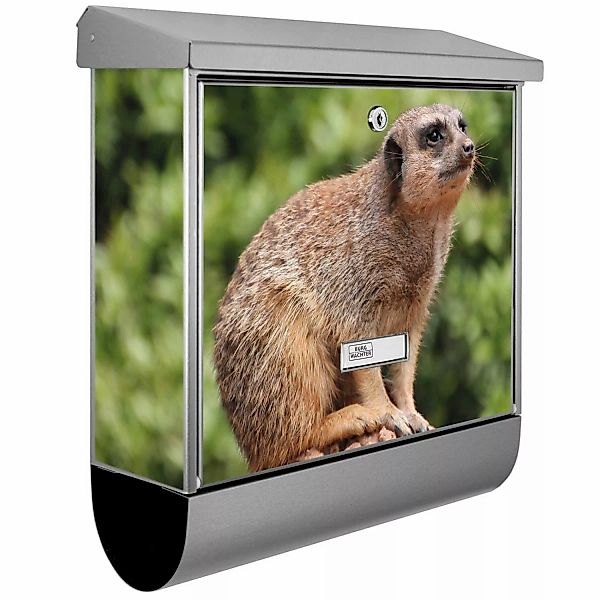 Banjado Briefkasten Edelstahl 38x39x12cm Mit Zeitungsfach Inkl. Montagemate günstig online kaufen
