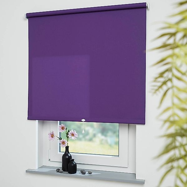 Liedeco Springrollo "Uni" Lichtschutz mit Bohren freihängend Rollowelle 36 günstig online kaufen