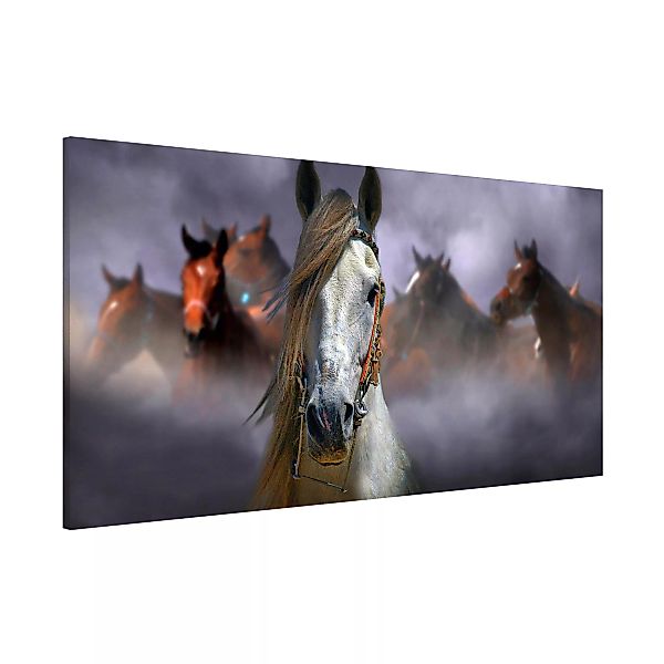 Magnettafel Tiere - Hochformat 1:2 Horses in the Dust günstig online kaufen