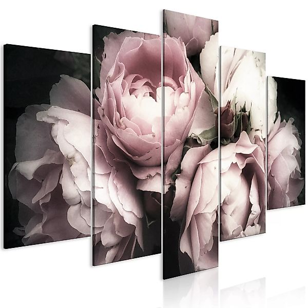 Wandbild - Smell Of Rose (1 Part) Wide günstig online kaufen