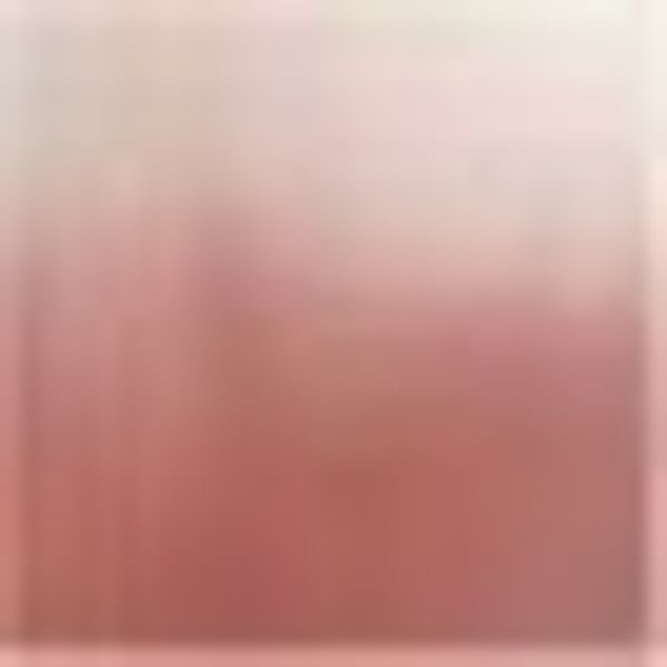 I.GE.A. Kunstpflanze "Soft-Magnolie" günstig online kaufen