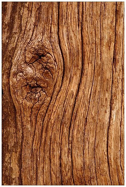 Wallario Wandfolie, Holzstamm mit Asteinschluss, in günstig online kaufen