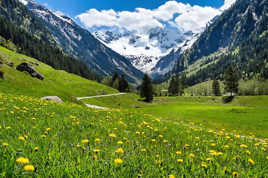Papermoon Fototapete »Alpenlandschaft« günstig online kaufen