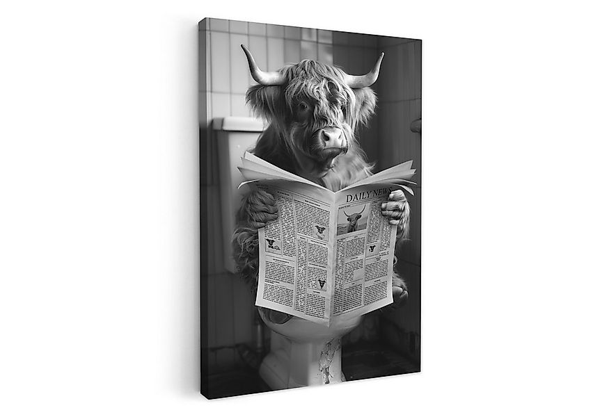 OneMillionCanvasses® Leinwandbild Scottish Highlander - Kuh - Zeitung - WC günstig online kaufen