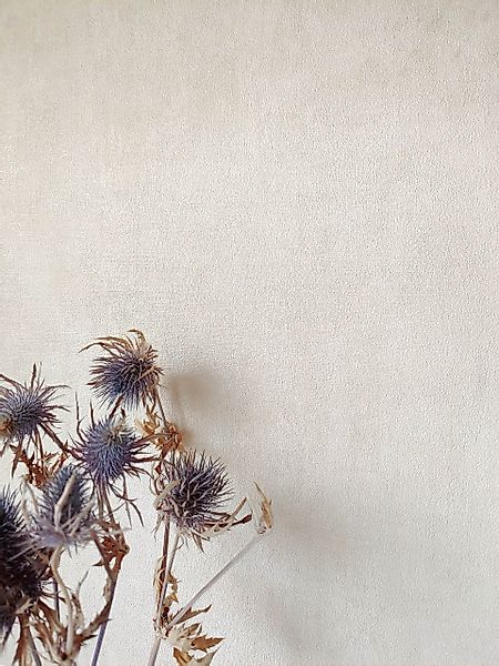 Newroom Vliestapete, Beige Tapete Industrial Beton-Optik günstig online kaufen
