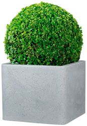 Scheurich Blumentopf 40/140 ALEA UET günstig online kaufen