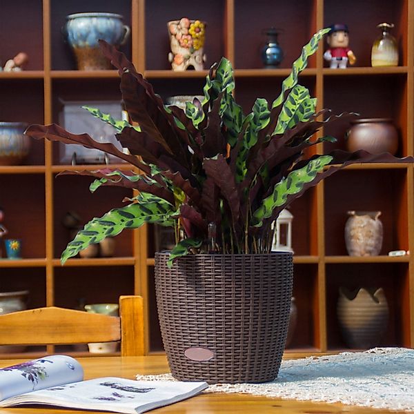 HTI-Living Blumentopf Blumentopf Nessa Hydro 27,5 günstig online kaufen