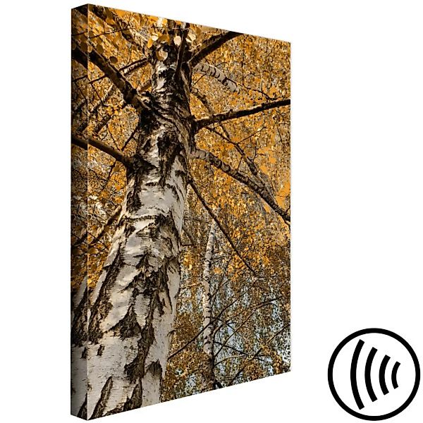 Bild auf Leinwand Autumn Colours (1 Part) Vertical XXL günstig online kaufen