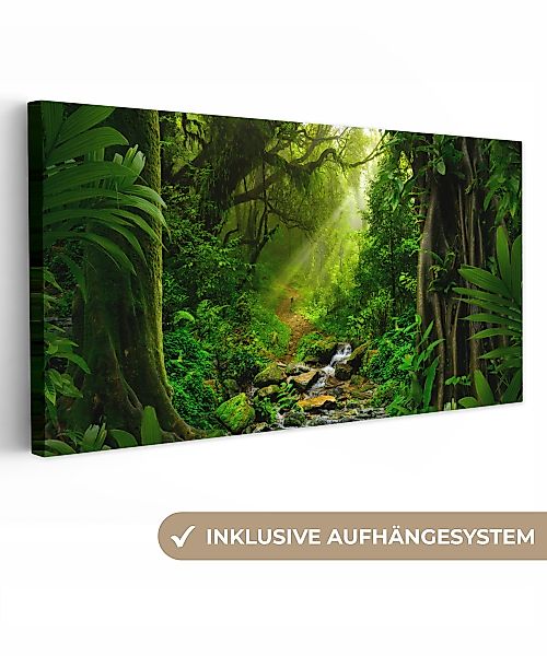 OneMillionCanvasses® Leinwandbild Panorama Dschungel - Wasser günstig online kaufen