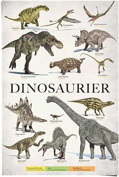 Reinders! Poster Dinosaurier, (1 St) günstig online kaufen