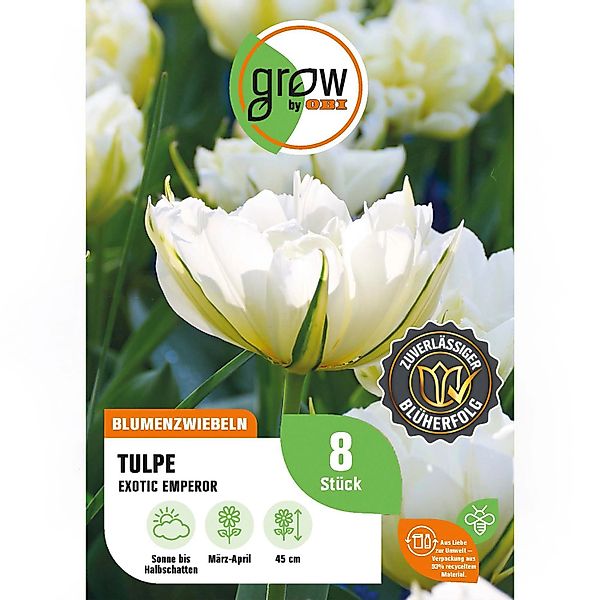 GROW by OBI Tulpe Exotic Emperor Weiß-Grün 8 St.Tulipa double early Exotic günstig online kaufen