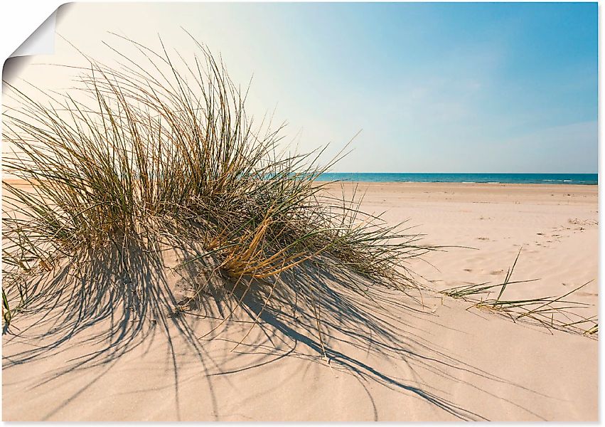 Artland Wandbild "Strandgras", Küste, (1 St.), als Alubild, Outdoorbild, Le günstig online kaufen