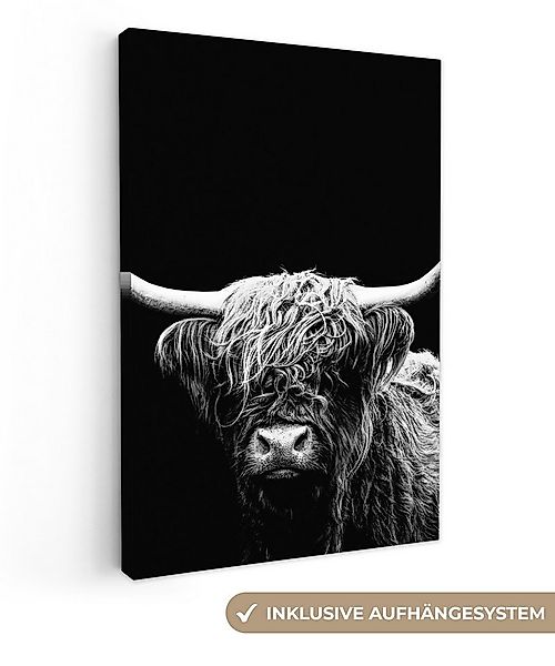 OneMillionCanvasses® Leinwandbild Schottischer Highlander - Kuh - Schwarz - günstig online kaufen