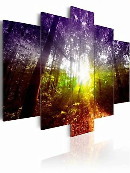 artgeist Wandbild Rainbow Forest mehrfarbig Gr. 200 x 100 günstig online kaufen