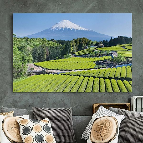 Leinwandbild Berg - Querformat Teefelder vor dem Fuji günstig online kaufen