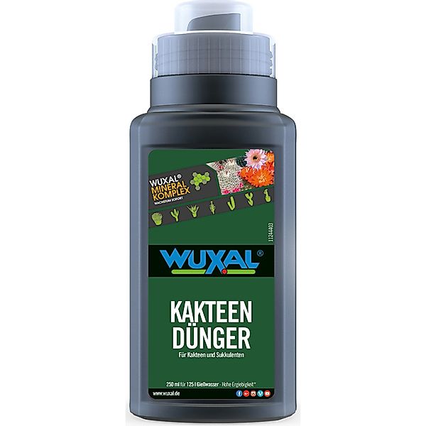 Wuxal Kakteen- und Bonsaidünger 0,25, günstig online kaufen