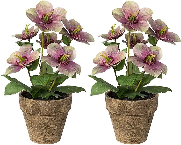 Winterliche Kunstpflanze Weihnachtsdeko Christrose, Creativ deco, Höhe 28 c günstig online kaufen