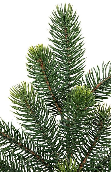Kunstzweig Kunststoff-Tannenzweig Premium YF Kunststannenzweig künstliche T günstig online kaufen
