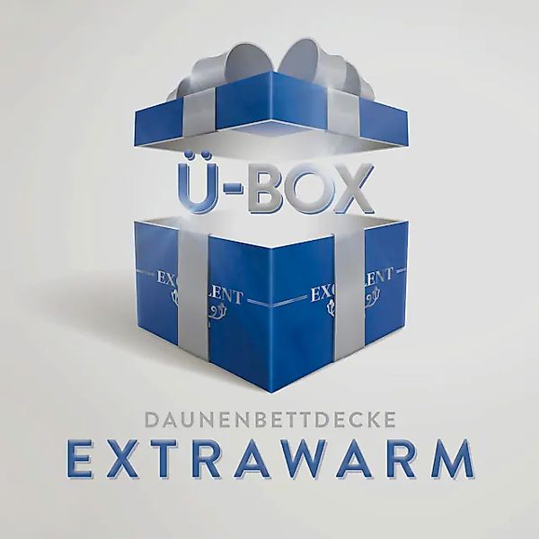 Excellent Daunenbettdecke »Überraschungsbox«, extrawarm, Füllung 90% Daunen günstig online kaufen