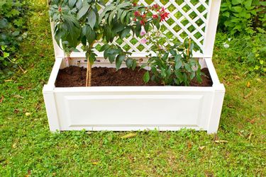 KHW Blumenkasten KHW Pflanzkasten mit Spalier günstig online kaufen