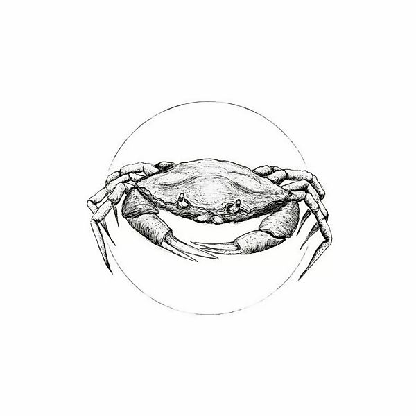 Komar Poster Crab White Tiere B/L: ca. 30x40 cm günstig online kaufen