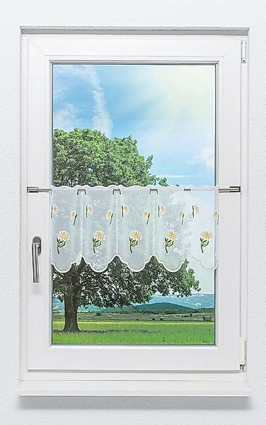 Plauener Spitze® Scheibengardine Margerite (1 St), transparent, HxB 30x48.9 günstig online kaufen
