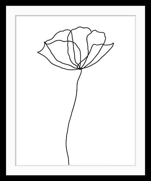 queence Bild "Susanne", Blumen, Rose, gerahmt günstig online kaufen
