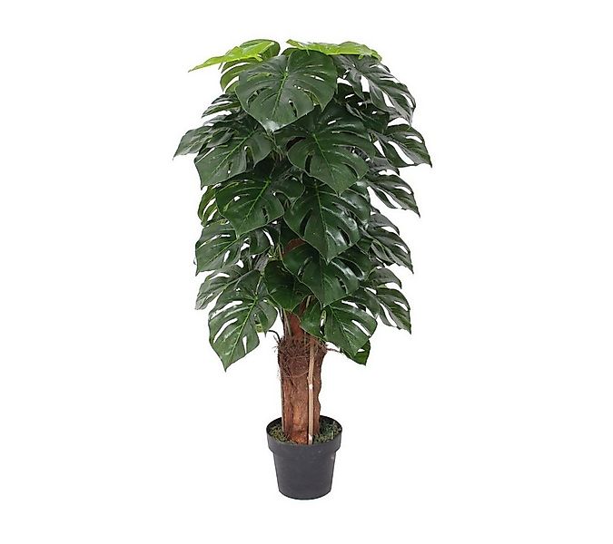 Kunstbaum SMARAGDLINE künstliche Bäume in verschiedenen Ausführungen und Gr günstig online kaufen