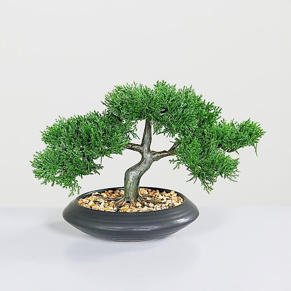 Kunstbonsai Kunst Zedem Bonsai in Keramik günstig online kaufen