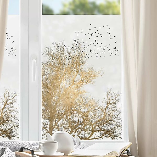 Fensterfolie Vogelschwarm vor goldenem Baum günstig online kaufen