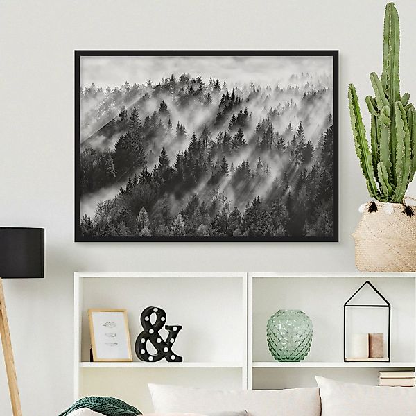 Bild mit Rahmen Natur & Landschaft - Querformat Lichtstrahlen im Nadelwald günstig online kaufen