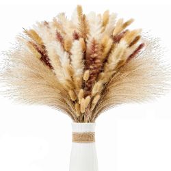 Trockenblume 75 Stück Pampasgras Getrocknet,Pampasgras Trockenblumen günstig online kaufen