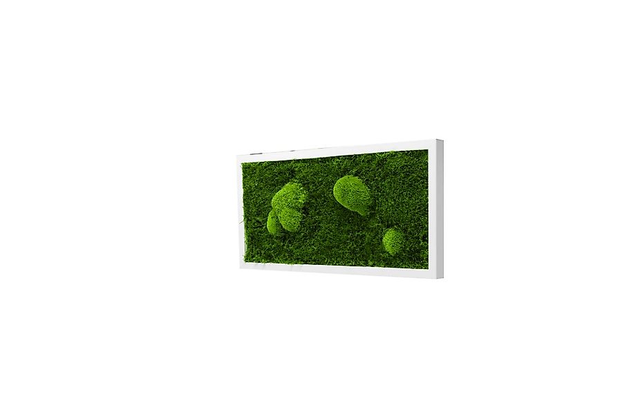 Moos-Design Bilderrahmen Moos Bild Forest Design günstig online kaufen
