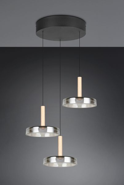 TRIO Leuchten LED Pendelleuchte CELESTE dimmbare günstig online kaufen