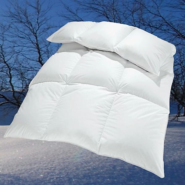 Extra warme 100% Winter Daunendecke sibirische Daunen 155x220 1650g günstig online kaufen