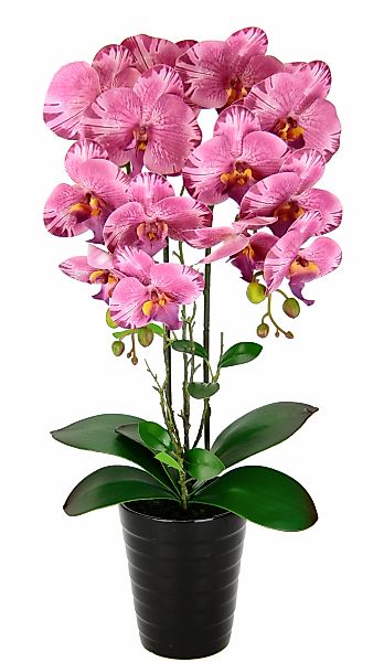 I.GE.A. Kunstblume "Orchidee", Im Topf Phalaenopsis Orchidee Phalaenopsis m günstig online kaufen