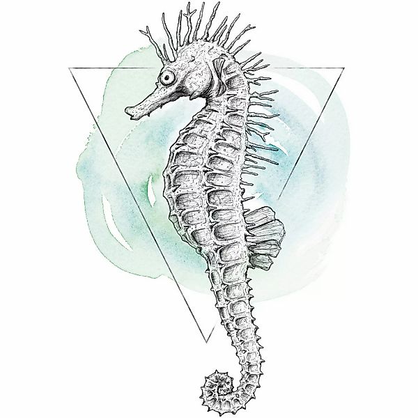 Komar Wandbild Sea Horse Watercolor 30 x 40 cm günstig online kaufen