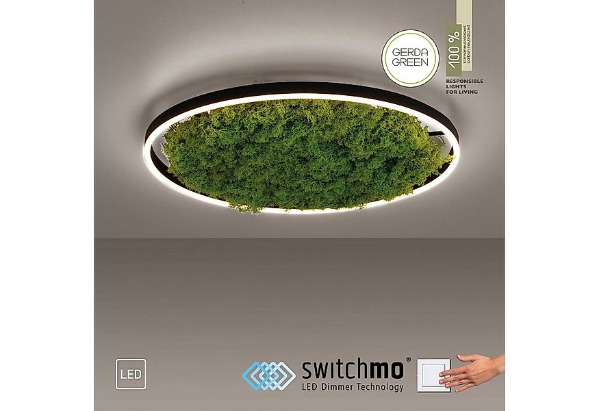 JUST LIGHT Deckenleuchte GREEN RITU, LED fest integriert, Warmweiß günstig online kaufen