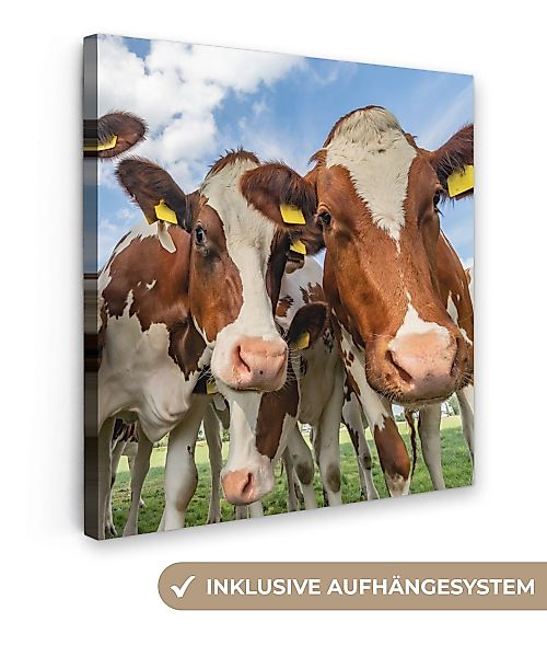 OneMillionCanvasses® Leinwandbild Kühe - Tiere - günstig online kaufen