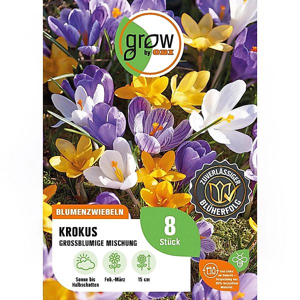 GROW by OBI Krokus großblumige Mischung 8 Stück Crocus vernus Mixed günstig online kaufen