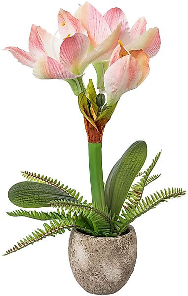 Winterliche Kunstpflanze Weihnachtsdeko Amaryllis, Creativ green, günstig online kaufen