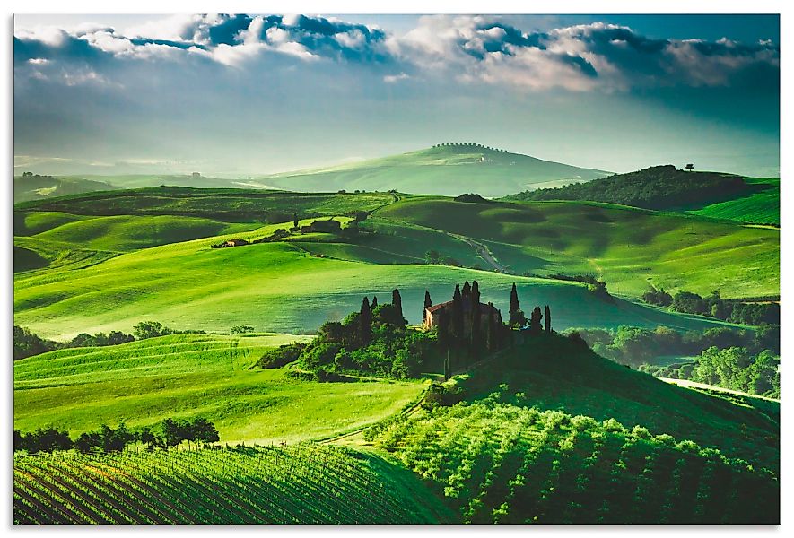 Artland Wandbild "Sonnenaufgang über einer Olivenfarm", Felder, (1 St.), al günstig online kaufen