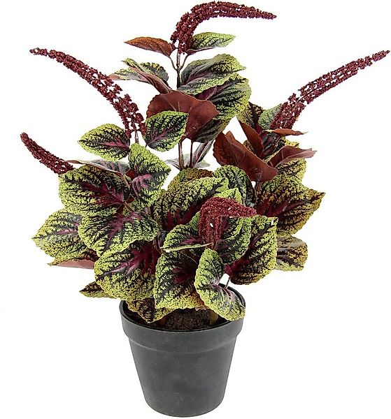 Kunstpflanze Zwergpfeffer, I.GE.A., Höhe 38 cm, Im Topf günstig online kaufen