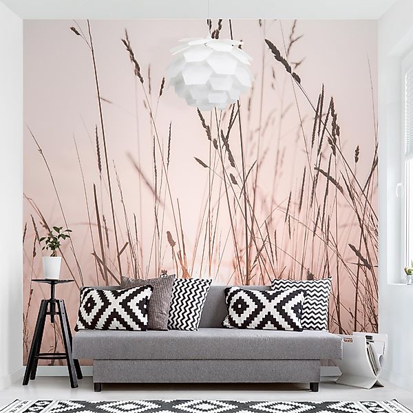 Bilderdepot24 Fototapete Blumen Sommerabend Blumentapete Floral günstig online kaufen