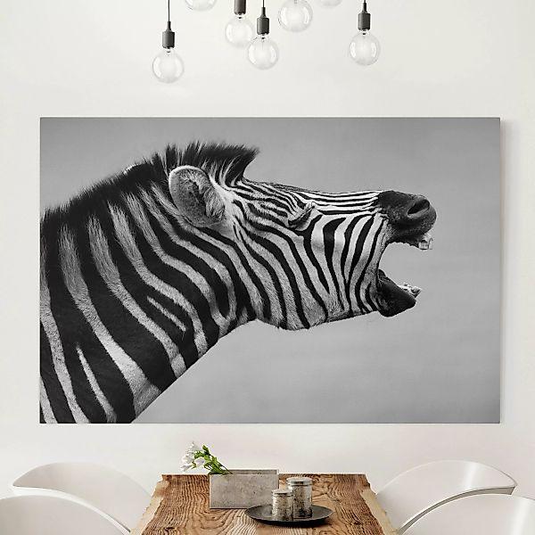 Leinwandbild Tiere - Querformat Brüllendes Zebra II günstig online kaufen