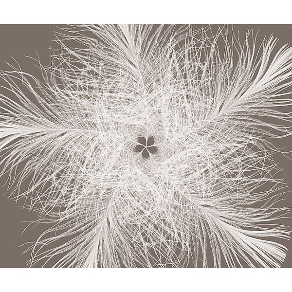Komar Fototapete Vlies Federstern  300 x 250 cm günstig online kaufen