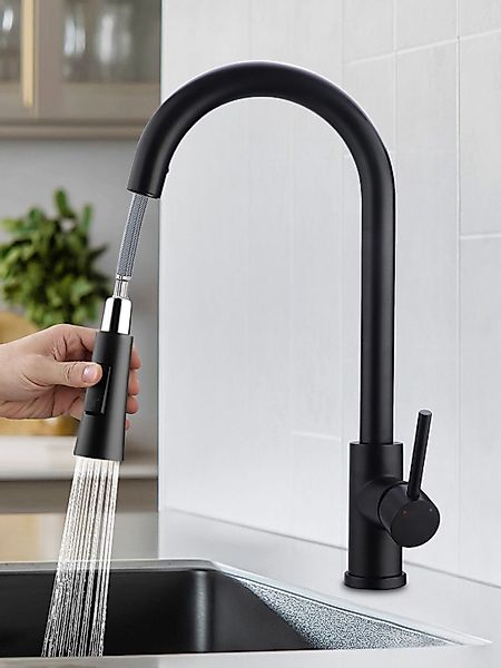 WOOHSE Spültischarmatur Küchenarmatur Zwei Wasserstrahlarten Wasserhahn günstig online kaufen