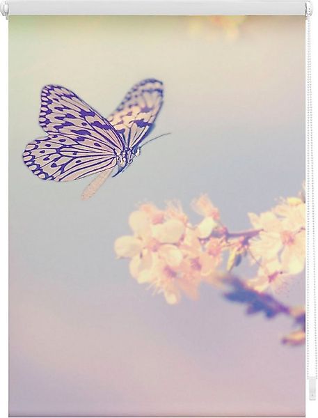 Seitenzugrollo Klemmfix Motiv Schmetterling, LICHTBLICK ORIGINAL, Lichtschu günstig online kaufen