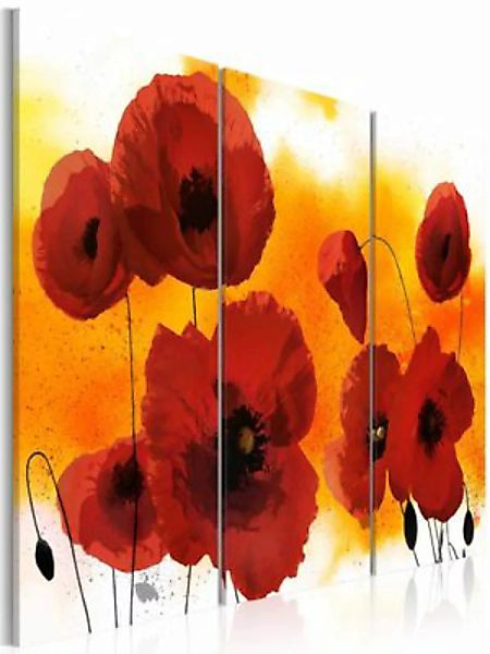 artgeist Wandbild Sunny afternoon and poppies mehrfarbig Gr. 60 x 40 günstig online kaufen