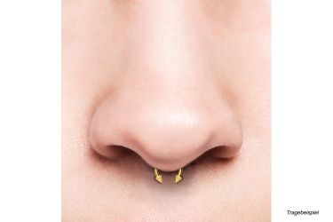 PIERCINGLINE Nasenpiercing Chirurgenstahl Hufeisenring SPITZEN (Hufeisen-Ri günstig online kaufen